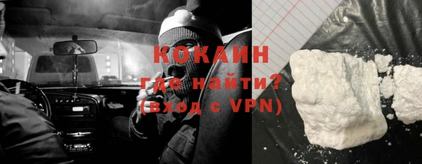 круглые Гусев
