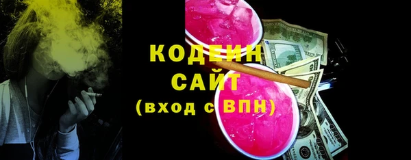 круглые Гусев