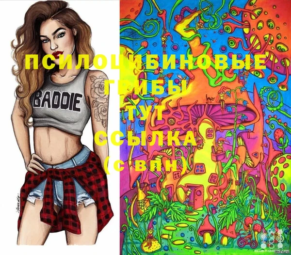 спиды Гусь-Хрустальный