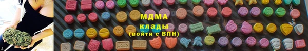 круглые Гусев