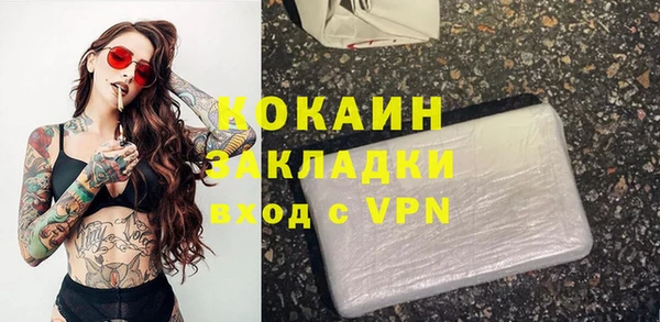 круглые Гусев