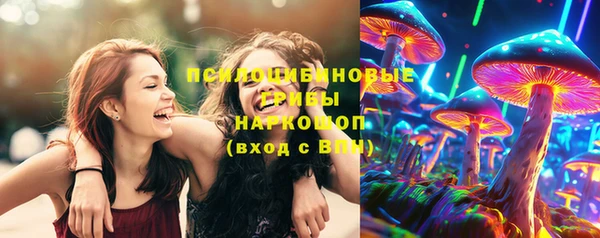круглые Гусев