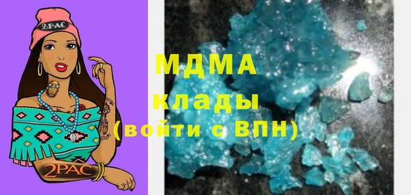 круглые Гусев