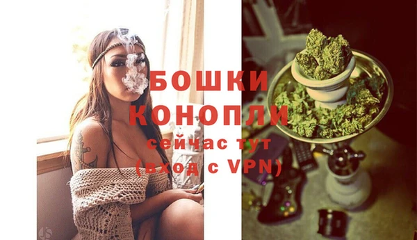круглые Гусев