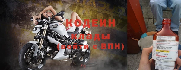 круглые Гусев