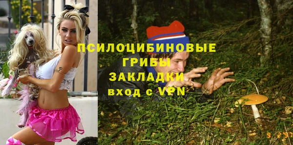 круглые Гусев