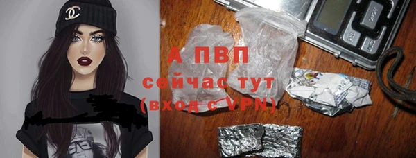 круглые Гусев